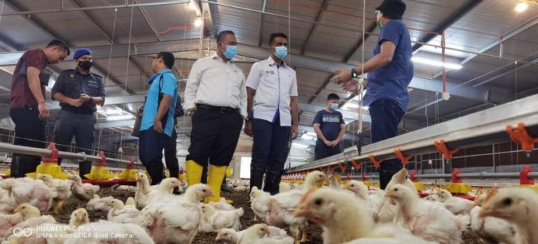 Johor Runs Poultry Price Hike Check