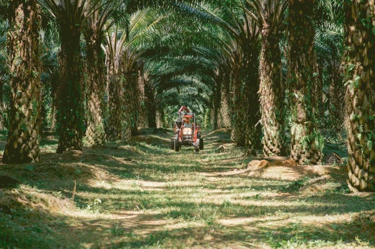 Johor Plantations Group Achieves 3-Star FTSE ESG Rating