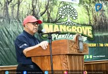 Johor to Popularise the Use of Electric Tugboats in Ports in Malaysia