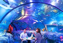 LEGOLAND Malaysia Resort Welcomes Back the Iconic Sea Life Underwater Dining Experience