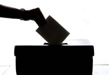 Election Commission Issues 24,677 Postal Ballot Papers For 16th Johor State Election Photo by Element5 Digital on Unsplash
