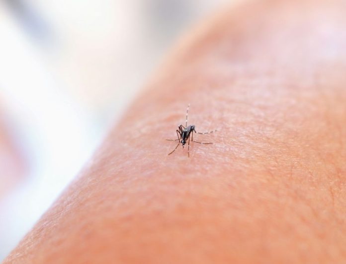 national-institute-of-allergy-and-infectious-diseases-oXh6ZUdW-gg-unsplash